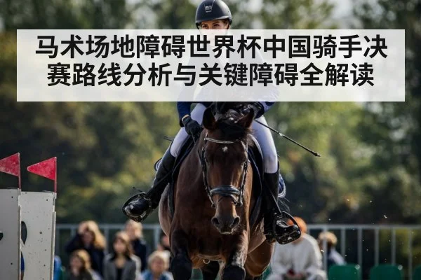 马术场地障碍世界杯中国骑手决赛路线分析与关键障碍全解读